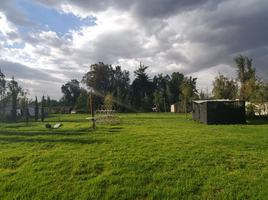  Terreno (Parcela) en venta en Miguel Hidalgo, Ciudad de México, Miguel Hidalgo