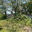  Land for sale in Carmen, Campeche, Carmen