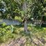  Land for sale in Carmen, Campeche, Carmen