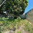  Land for sale in Carmen, Campeche, Carmen