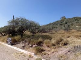  Terreno (Parcela) en venta en Tecozautla, Hidalgo, Tecozautla
