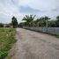  Land for sale in Yogyakarta, Kalasan, Sleman, Yogyakarta