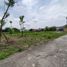  Land for sale in Yogyakarta, Kalasan, Sleman, Yogyakarta