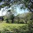  Land for sale in Merida, Yucatan, Merida, Yucatan