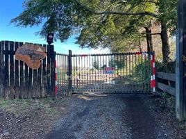  Land for sale in Chile, Pucon, Cautin, Araucania, Chile