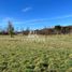  Land for sale in Chile, Pucon, Cautin, Araucania, Chile
