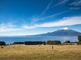  Land for sale in Chile, Puerto Varas, Llanquihue, Los Lagos, Chile