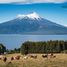  Land for sale in Chile, Puerto Varas, Llanquihue, Los Lagos, Chile