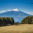  Land for sale in Chile, Puerto Varas, Llanquihue, Los Lagos, Chile