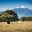  Land for sale in Chile, Puerto Varas, Llanquihue, Los Lagos, Chile