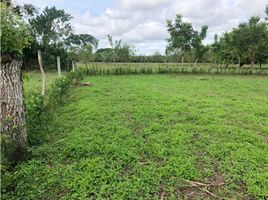  Land for sale in Cordoba, Monteria, Cordoba