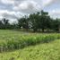  Land for sale in Cordoba, Monteria, Cordoba