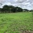  Land for sale in Cordoba, Monteria, Cordoba