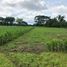  Land for sale in Cordoba, Monteria, Cordoba