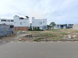  Terreno (Parcela) en venta en Pinogana, Darién, Paya, Pinogana