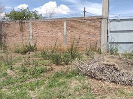  Grundstück zu verkaufen in Guanajuato, Guanajuato, Guanajuato, Guanajuato