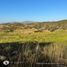  Grundstück zu verkaufen in Ensenada, Baja California, Ensenada