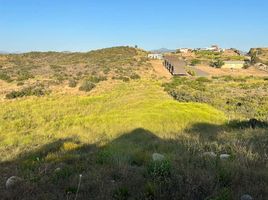  Grundstück zu verkaufen in Ensenada, Baja California, Ensenada