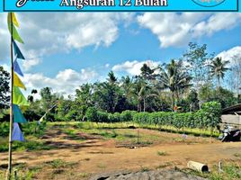  Land for sale in Malang Regency, East Jawa, Kepanjen, Malang Regency