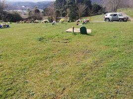  Terreno (Parcela) en venta en Chile, Concepcion, Concepción, Biobío, Chile