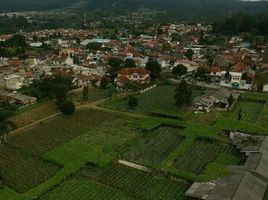  Terreno (Parcela) en venta en Lembang, West Jawa, Lembang, Bandung, West Jawa