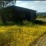  Land for sale in Valparaiso, Santo Domingo, San Antonio, Valparaiso