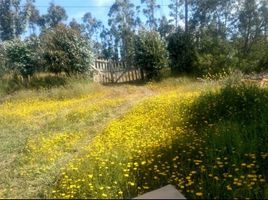  Land for sale in Valparaiso, Santo Domingo, San Antonio, Valparaiso
