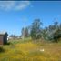  Land for sale in Valparaiso, Santo Domingo, San Antonio, Valparaiso