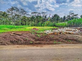  Land for sale in Ngajum, Malang Regency, Ngajum