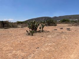  Terreno (Parcela) en venta en Tequisquiapan, Querétaro, Tequisquiapan