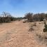  Terreno (Parcela) en venta en Tequisquiapan, Querétaro, Tequisquiapan