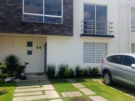 Maison 3 chambre à louer à Toluca, Mexico, Toluca