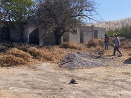  Terreno (Parcela) en venta en Acolman, México, Acolman, México