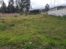  Terreno (Parcela) en alquiler en Pifo, Quito, Pifo