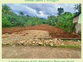  Land for sale in Bantul, Yogyakarta, Pajangan, Bantul