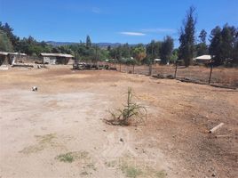  Terreno (Parcela) en venta en Chile, Molina, Curicó, Maule, Chile