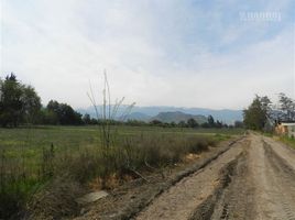  Terreno (Parcela) en alquiler en Colina, Chacabuco, Colina