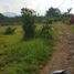  Land for sale in Malang Regency, East Jawa, Bumiaji, Malang Regency