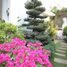 4 Bedroom Villa for rent in An Phu, Ho Chi Minh City, An Phu, District 2