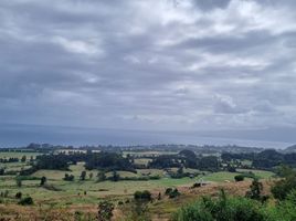  Land for sale in Chile, Puerto Varas, Llanquihue, Los Lagos, Chile