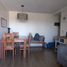 3 Habitación Departamento en alquiler en San Jode de Maipo, Cordillera, San Jode de Maipo
