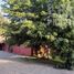 7 Habitación Casa en venta en Colina, Chacabuco, Colina