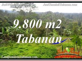  Land for sale in Selemadeg, Tabanan, Selemadeg