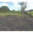  Land for sale in Monteria, Cordoba, Monteria