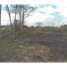  Land for sale in Monteria, Cordoba, Monteria