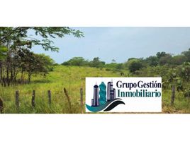  Terreno (Parcela) en venta en San Lorenzo, Chiriquí, San Juan, San Lorenzo