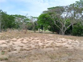  Grundstück zu verkaufen in Anton, Cocle, El Chiru