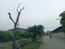  Terreno (Parcela) en venta en Citeureup, West Jawa, Citeureup, Bogor, West Jawa