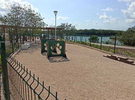  Grundstück zu verkaufen in Cancun, Quintana Roo, Cancun
