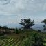  Land for sale in Bandung, West Jawa, Lembang, Bandung